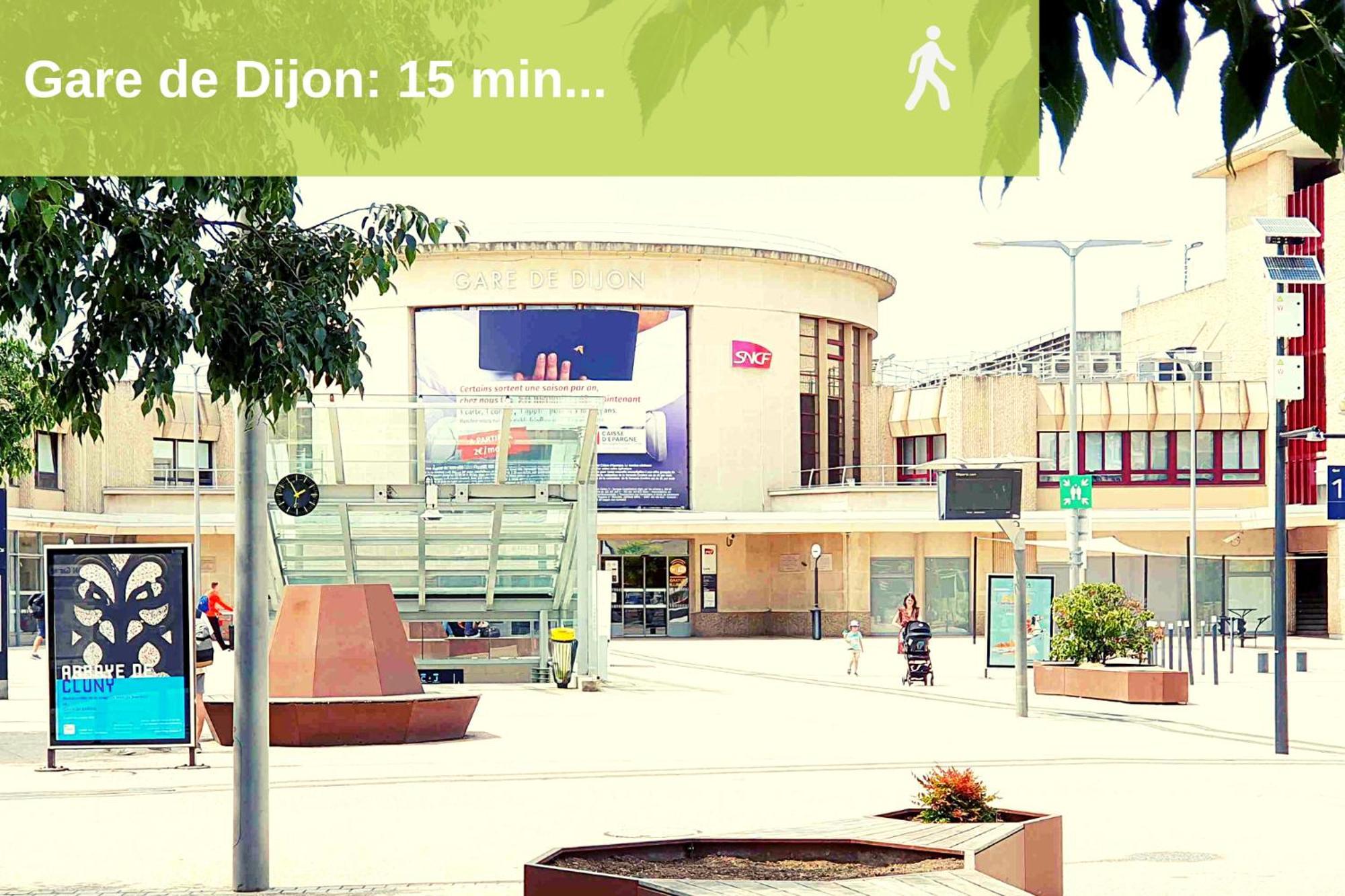 Le Devosge Apartment Dijon Bagian luar foto